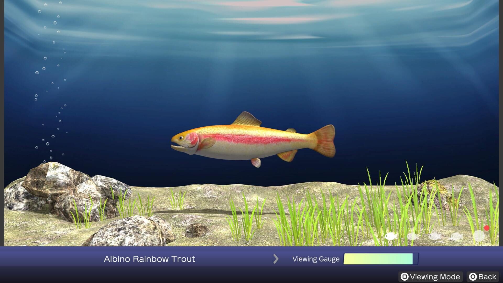 Screenshot for Reel Fishing: Days of Summer