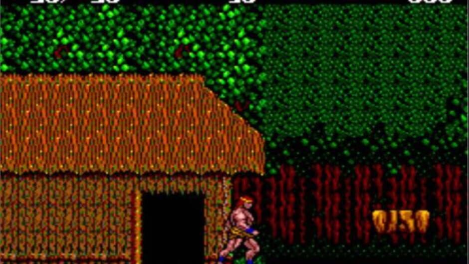 Screenshot for Danan: The Jungle Fighter
