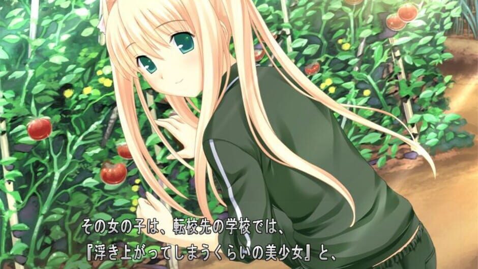 Screenshot for Kono Aozora ni Yakusoku wo