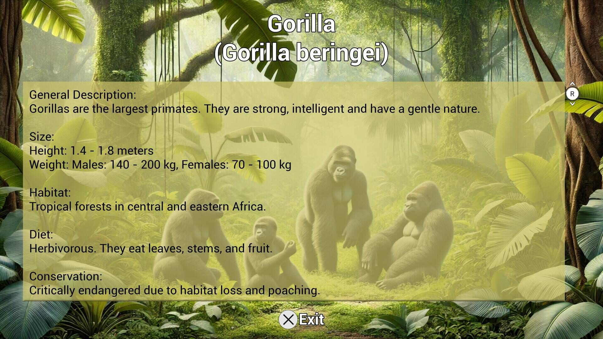 Screenshot for My Life: Zoo Vet