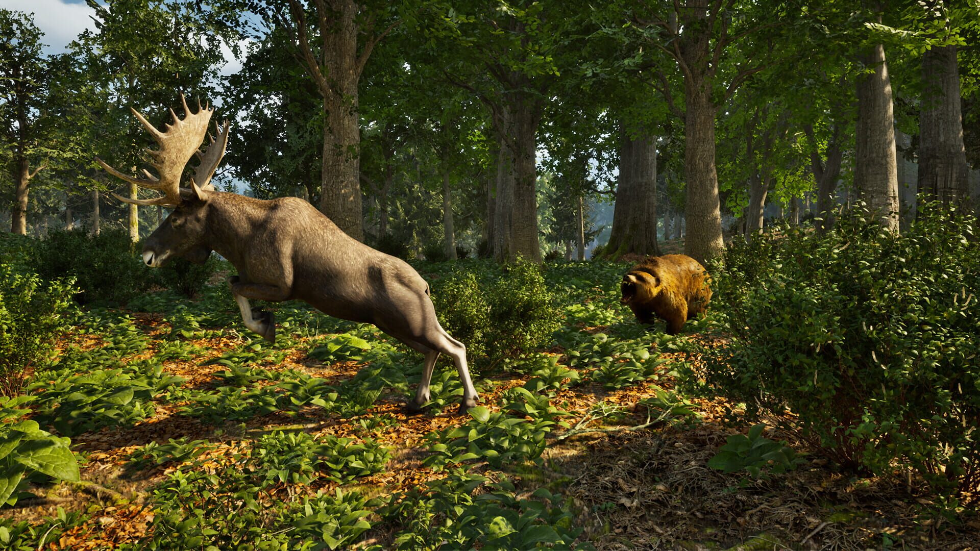 Screenshot for Park Ranger Simulator