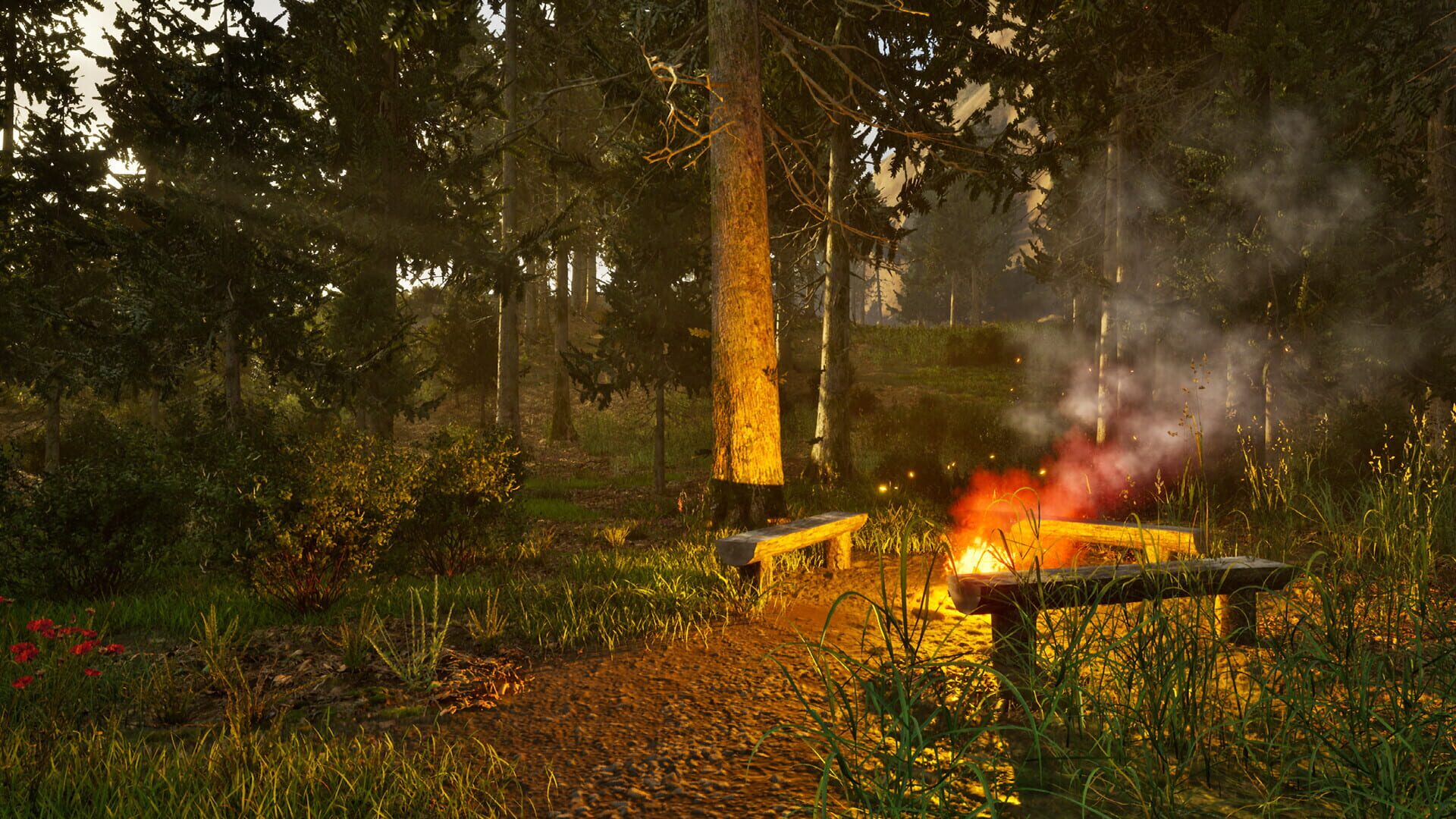 Screenshot for Park Ranger Simulator