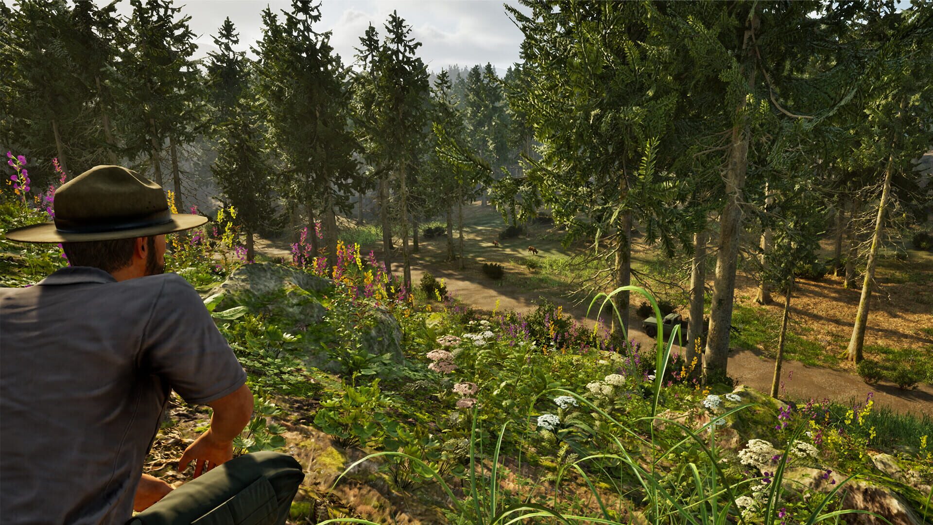 Screenshot for Park Ranger Simulator