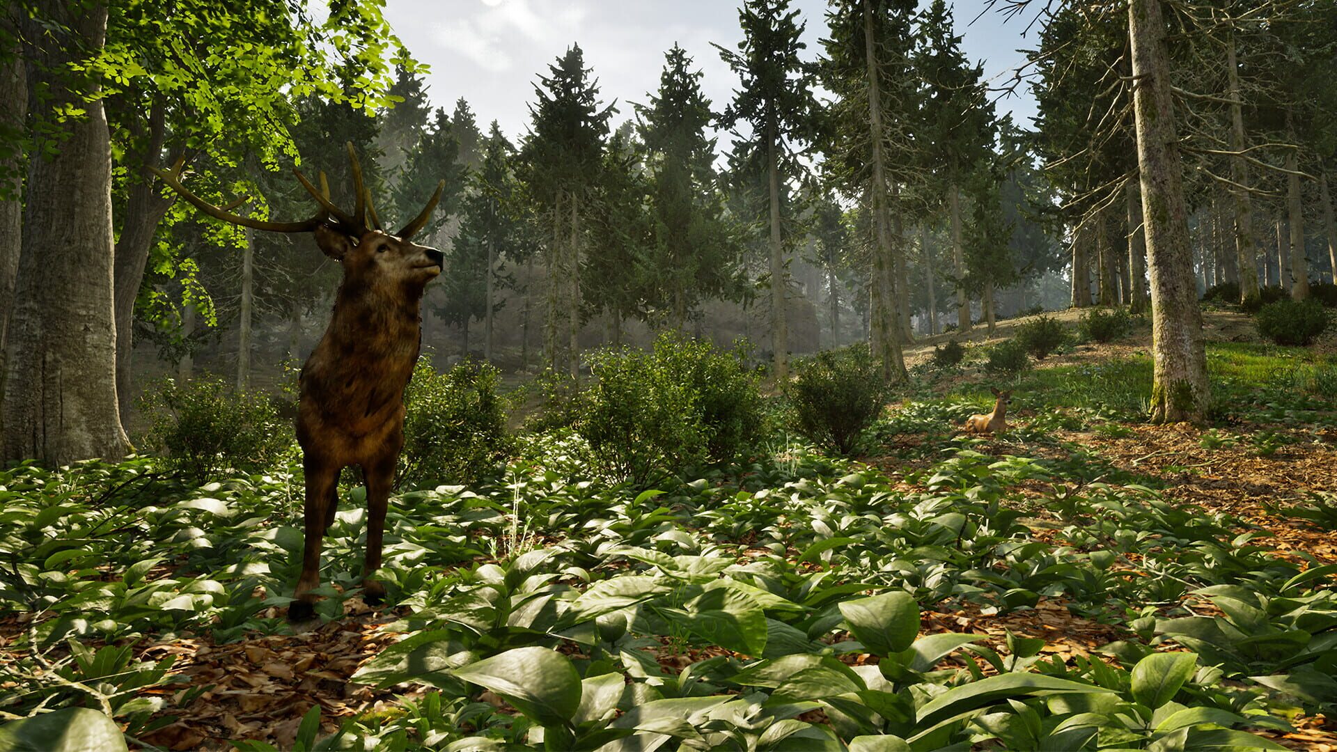 Screenshot for Park Ranger Simulator