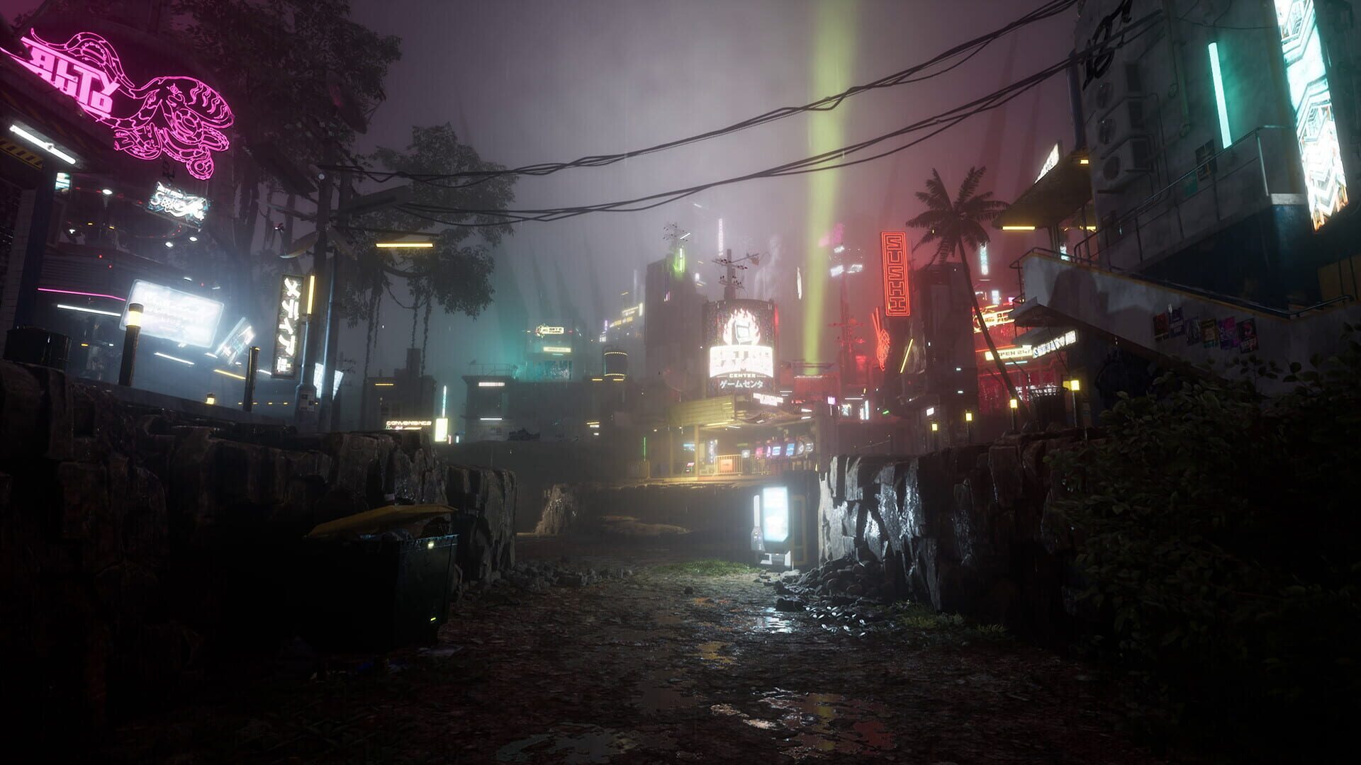 Screenshot for Drizzlepath: Picturae