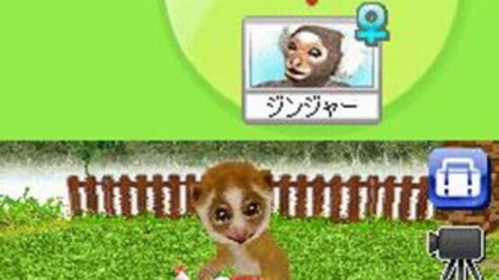 Screenshot for Petz Monkeyz House
