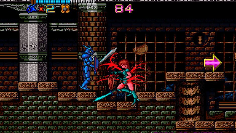 Screenshot for Castle of Dragon