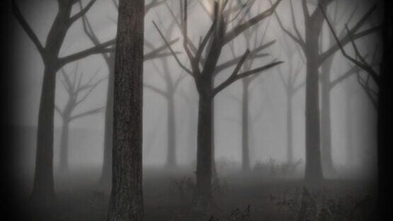 Screenshot for Slender Rising