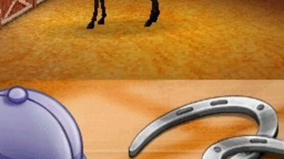Screenshot for Ener-G Horse Riders
