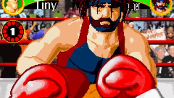 Screenshot for Boxing Fever
