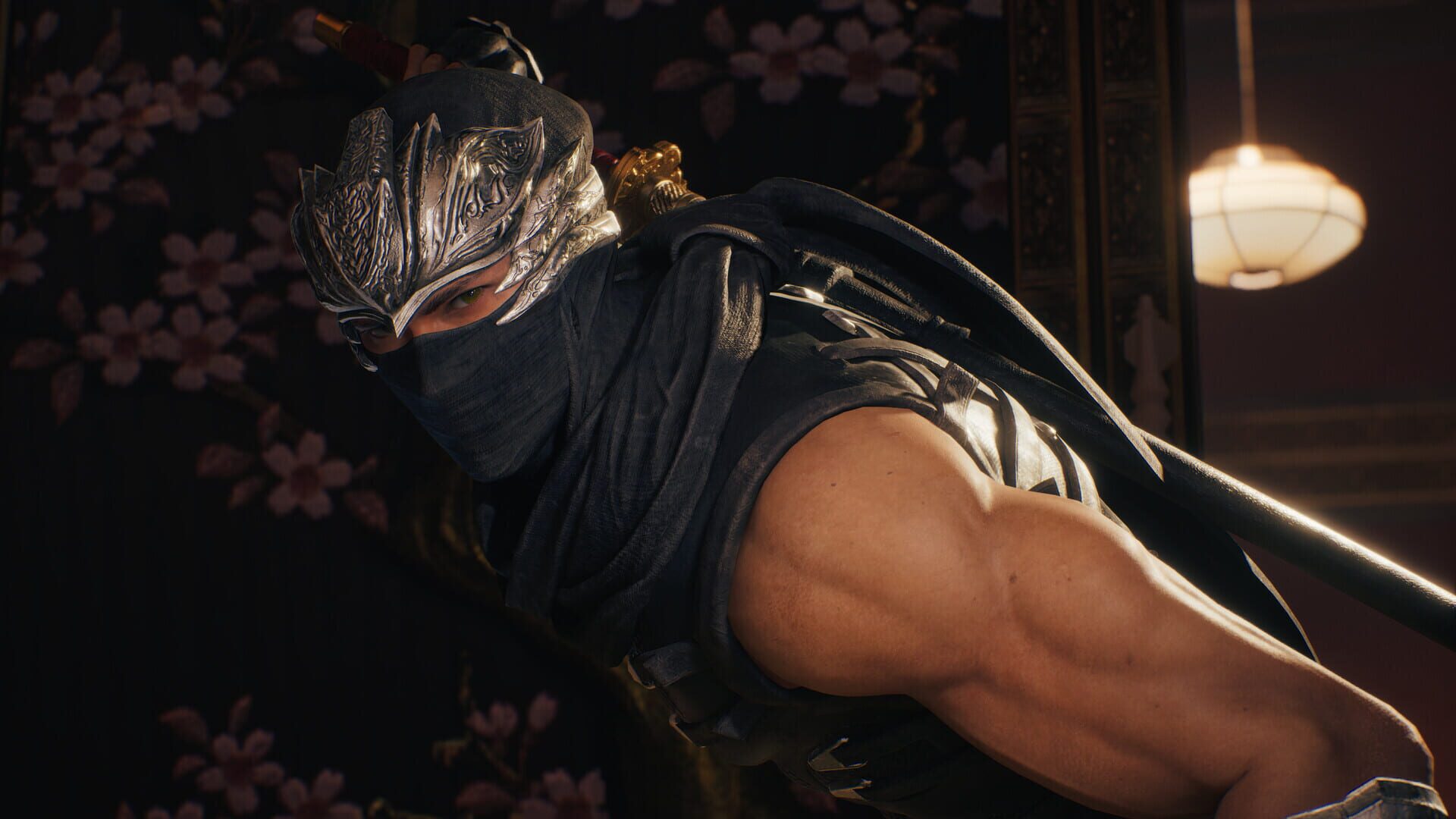 Screenshot for Ninja Gaiden II Black