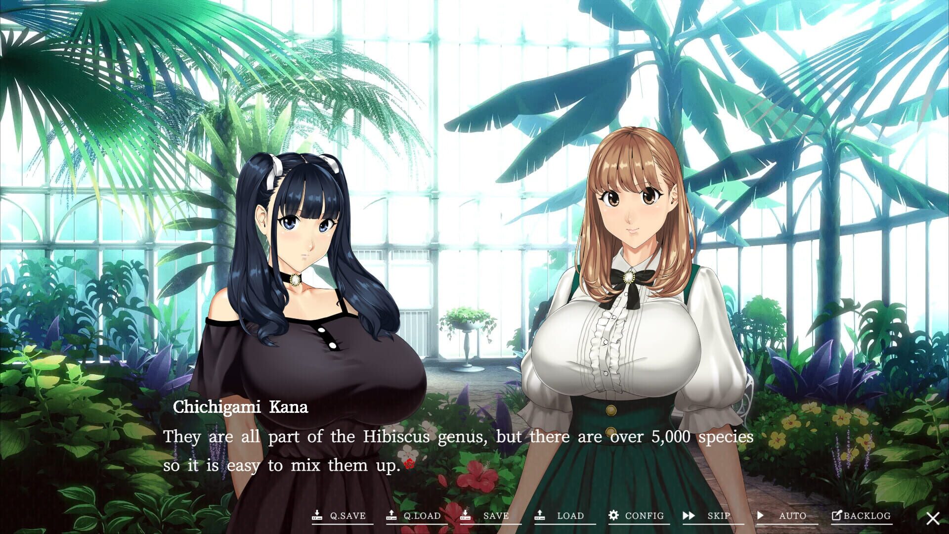 Screenshot for Welcome to Maison Chichigami