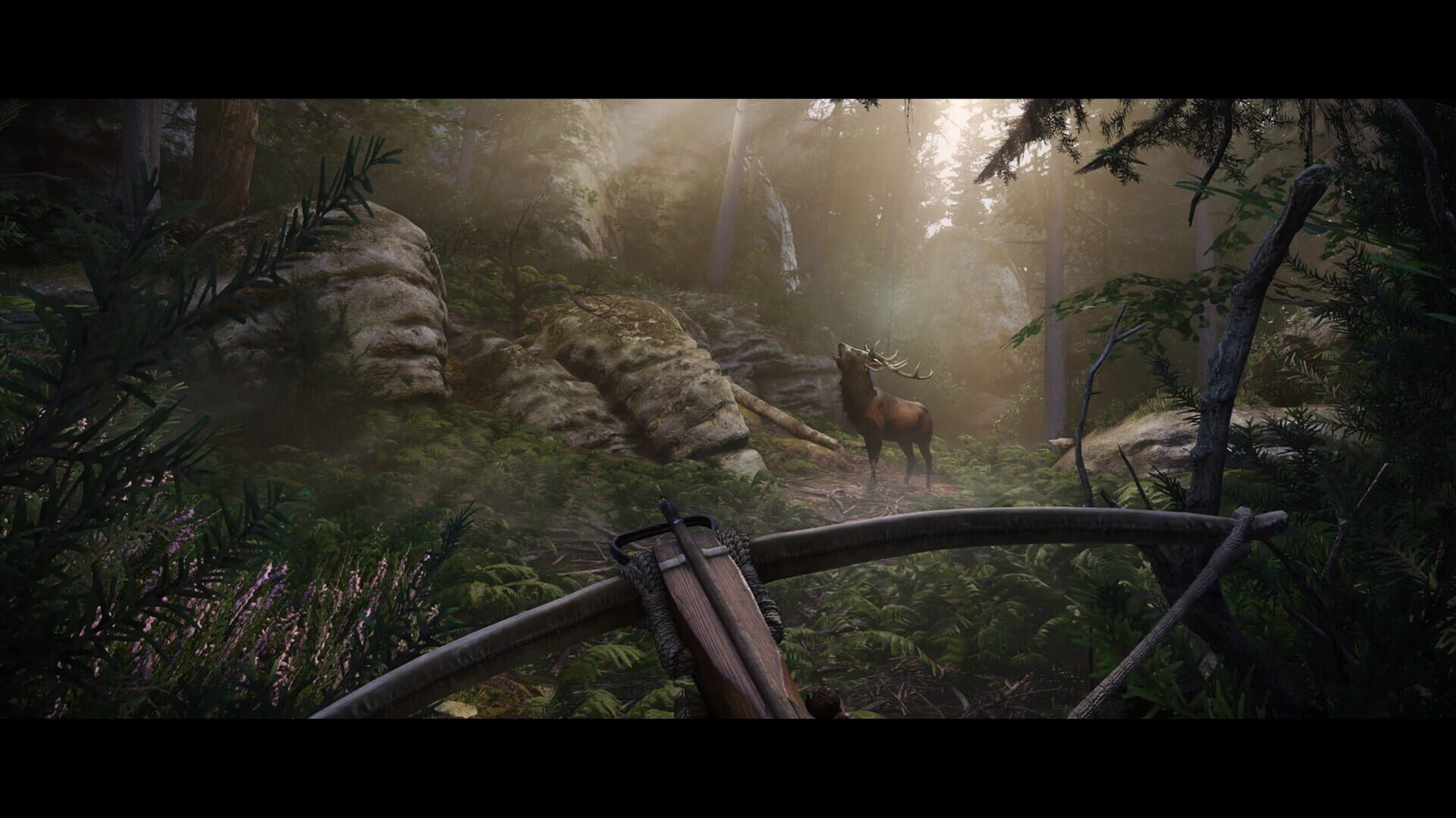 Screenshot for Kingdom Come: Deliverance II