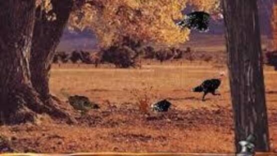 Screenshot for Turkey Hunting USA