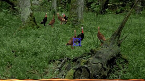 Screenshot for Turkey Hunting USA
