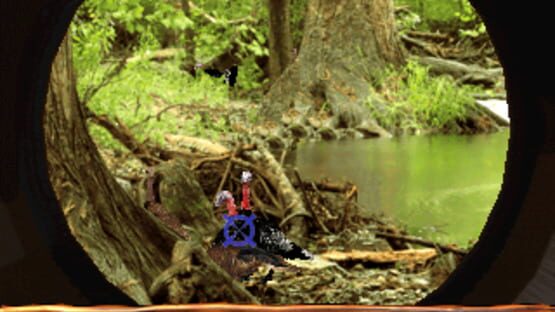 Screenshot for Turkey Hunting USA