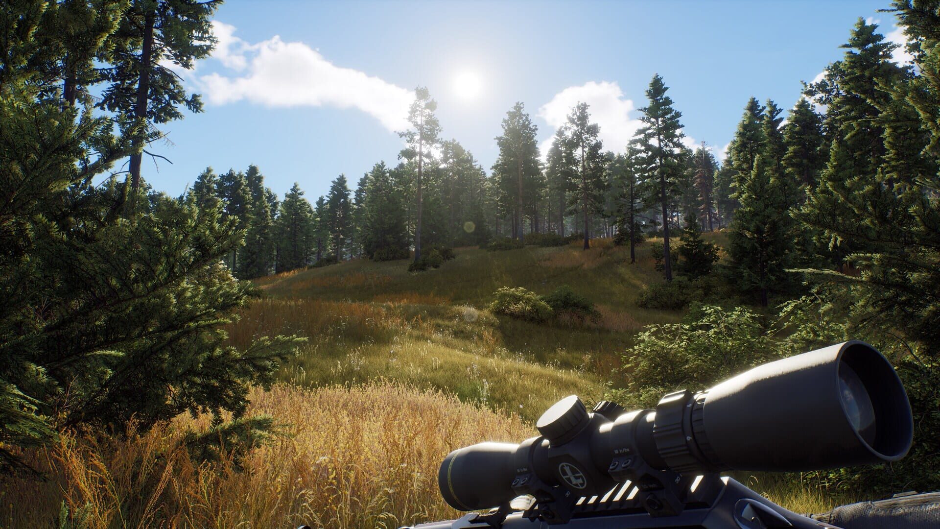 Screenshot for Way of the Hunter