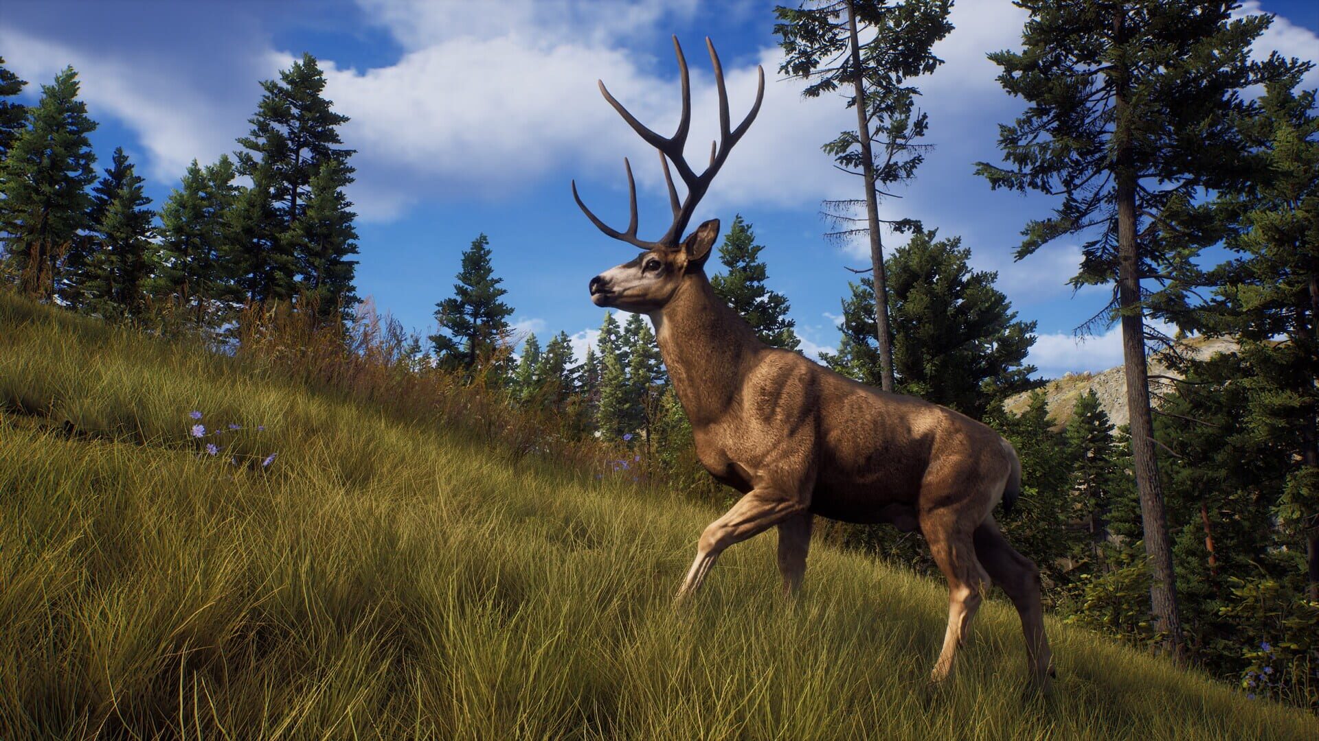 Screenshot for Way of the Hunter