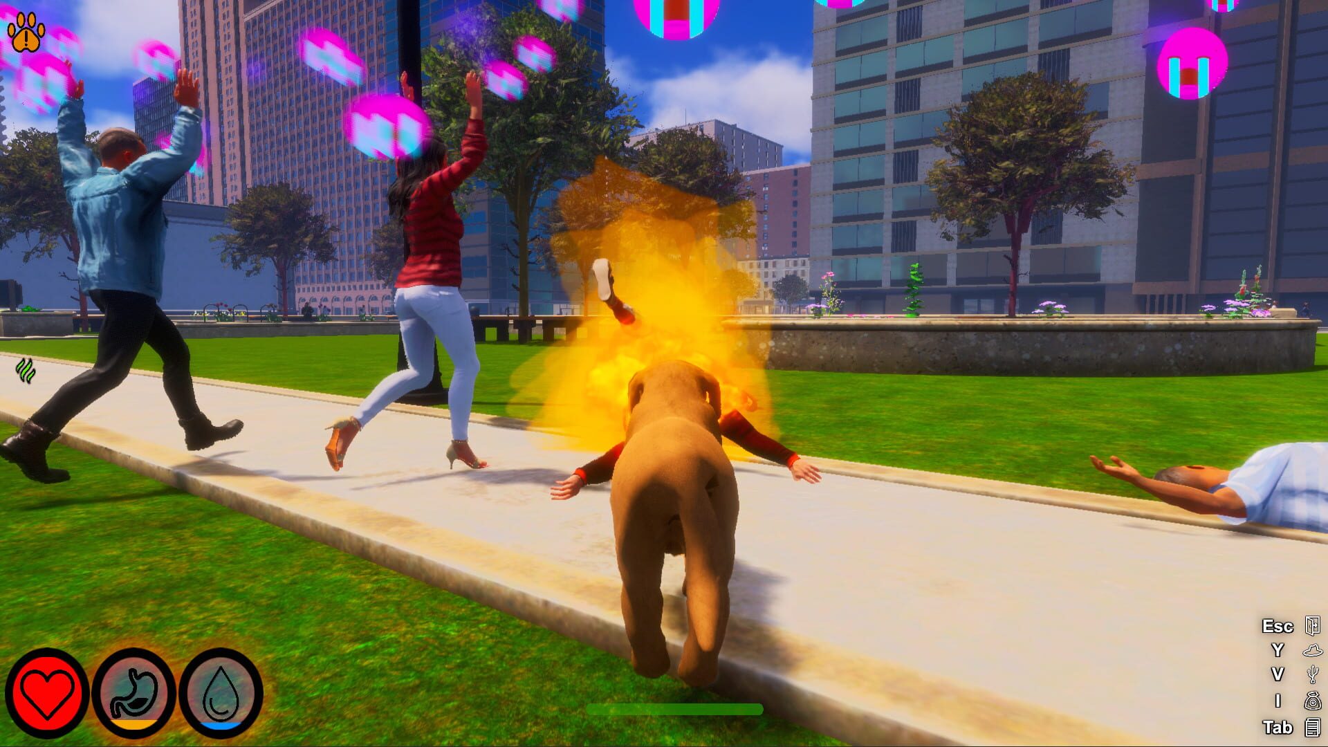 Screenshot for Lost Paws