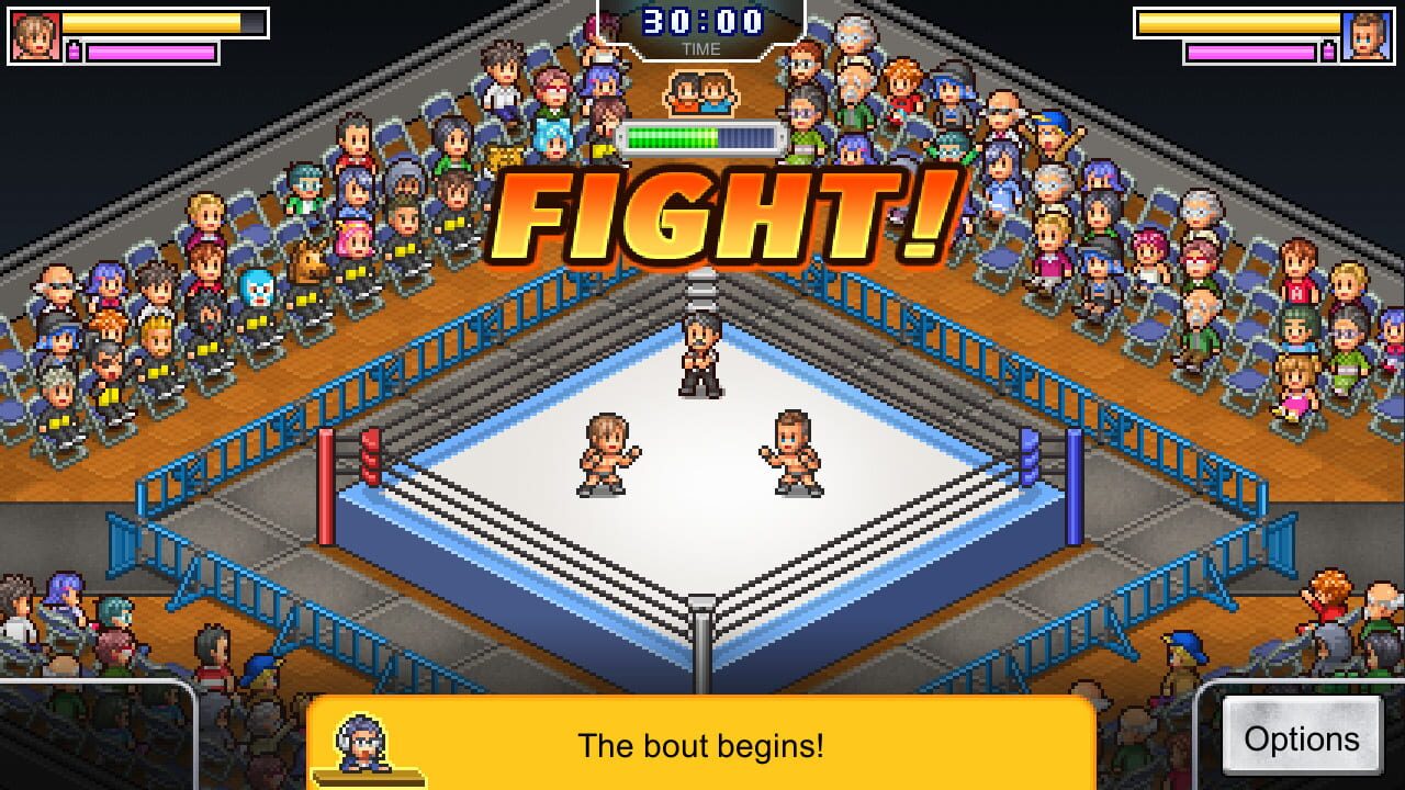 Screenshot for Pro Wrestler Story