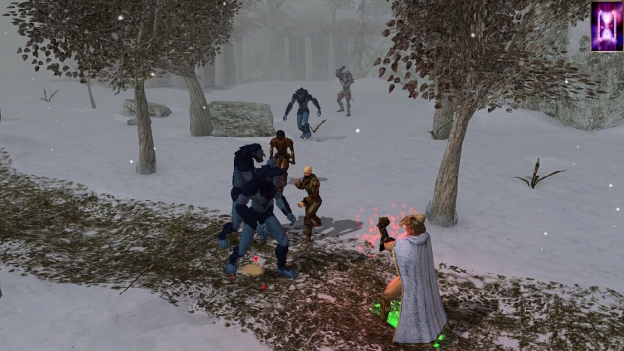 Screenshot for Neverwinter Nights: Enhanced Edition - Doom of Icewind Dale