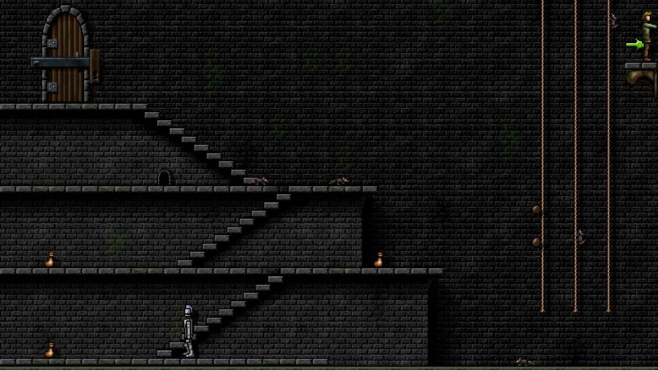 Screenshot for Return to Dark Castle