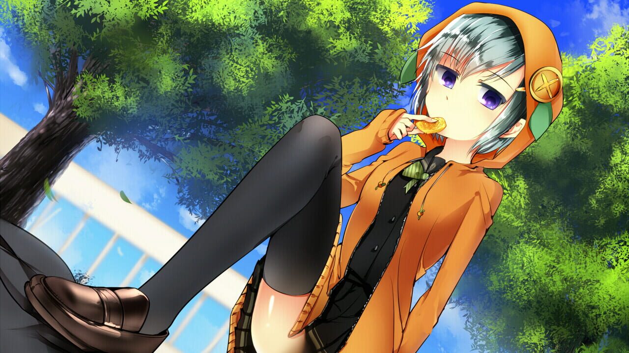 Screenshot for Kekkon Shugi Kokka