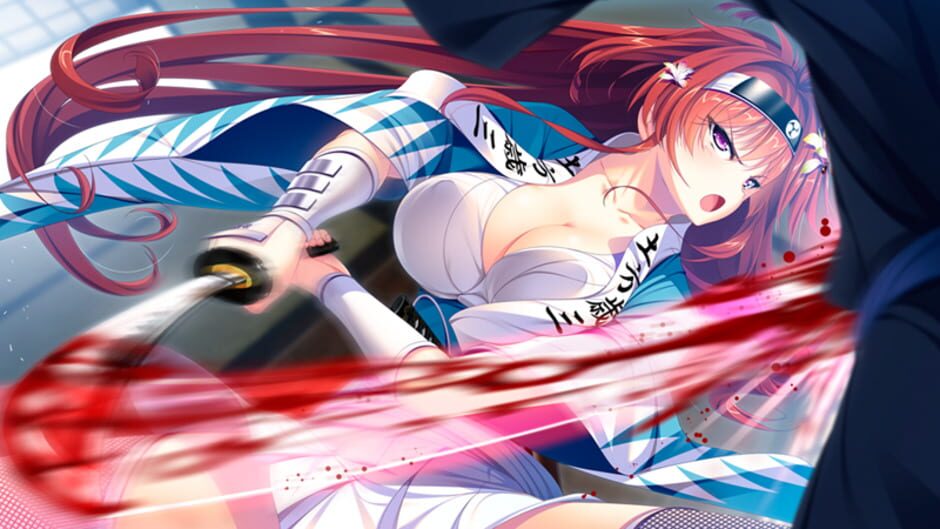 Screenshot for Bakumatsu Jinchuu Houkoku Resshiden Miburo