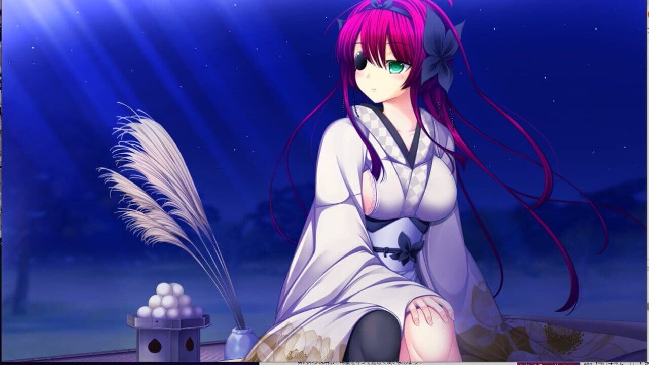 Screenshot for ChuSingura 46+1 Wacchi to Onii-chan no Love Love Nagaya Seikatsu