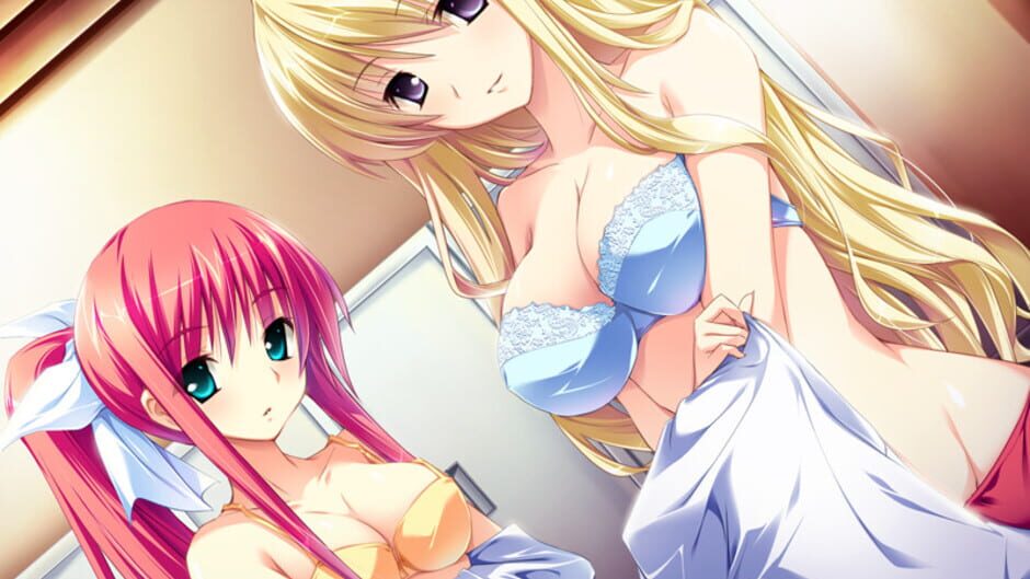 Screenshot for Hana to Otome ni Shukufuku wo