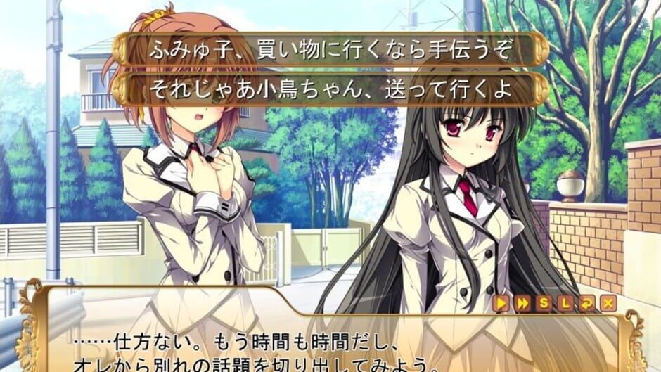 Screenshot for Damatte Watashi no Muko ni Nare!