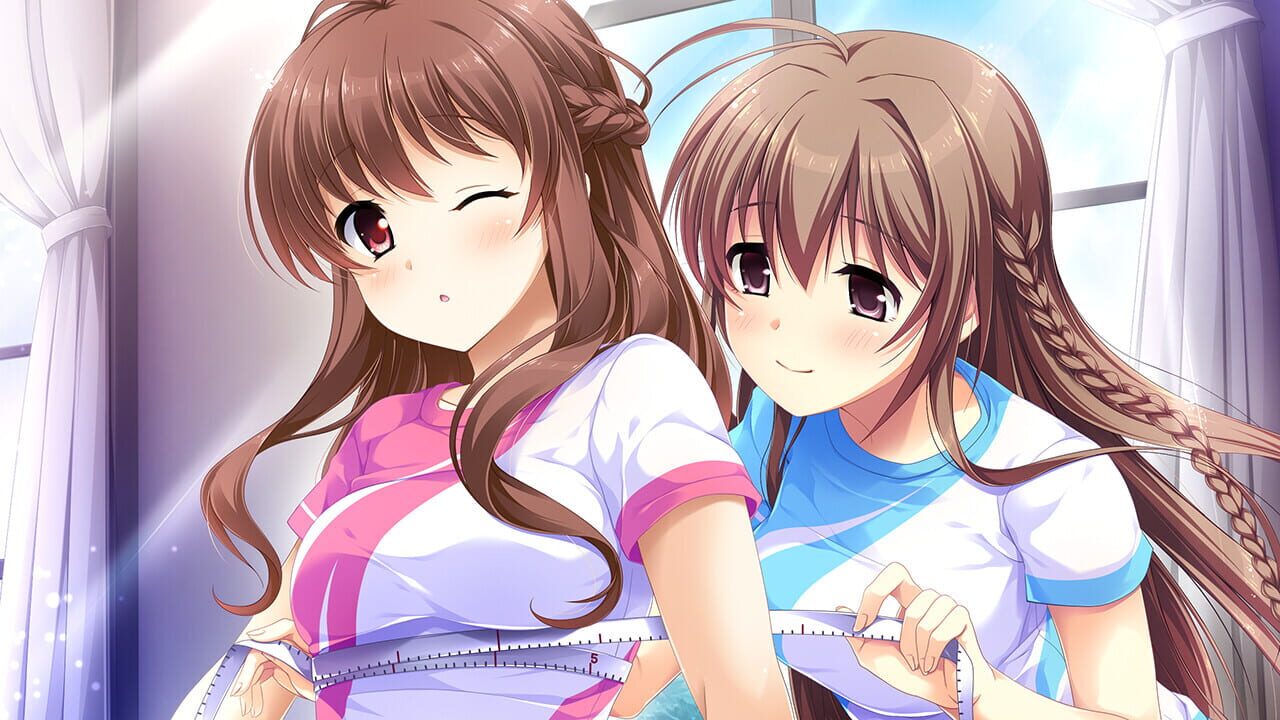 Screenshot for Shiny Sisters