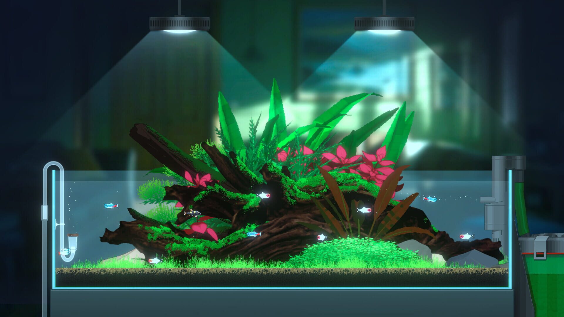 Screenshot for Joyquarium