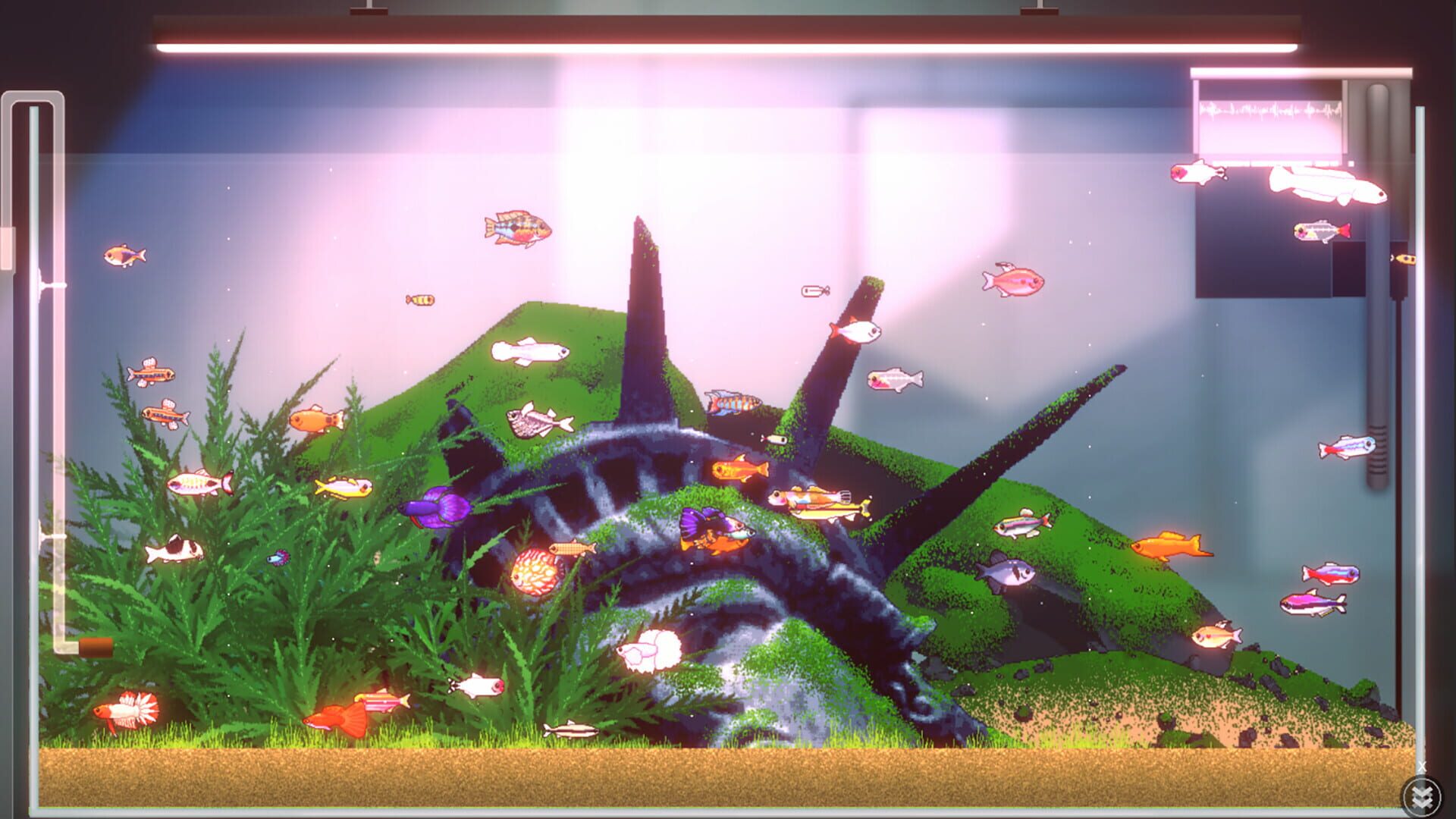 Screenshot for Joyquarium