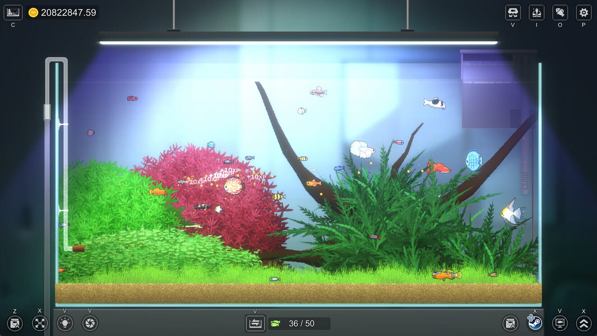 Screenshot for Joyquarium