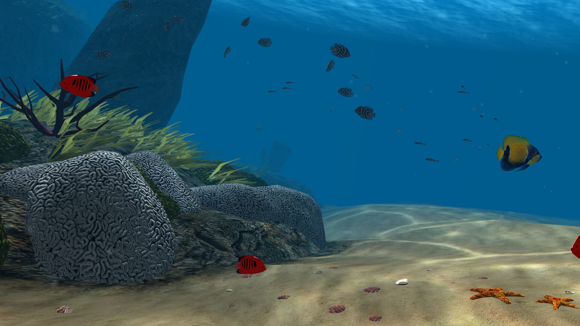 Screenshot for OceanDive