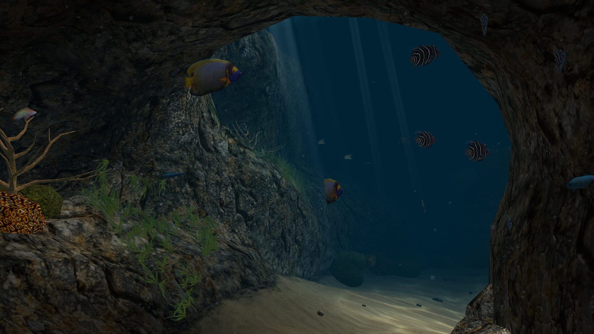 Screenshot for OceanDive