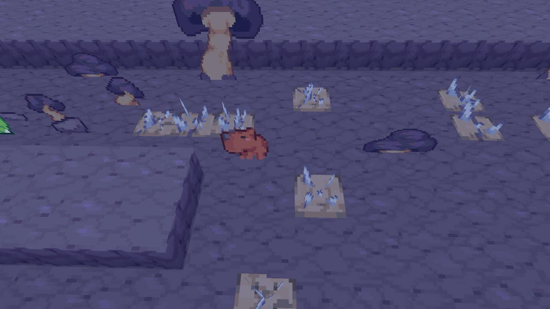 Screenshot for Capy's Quest