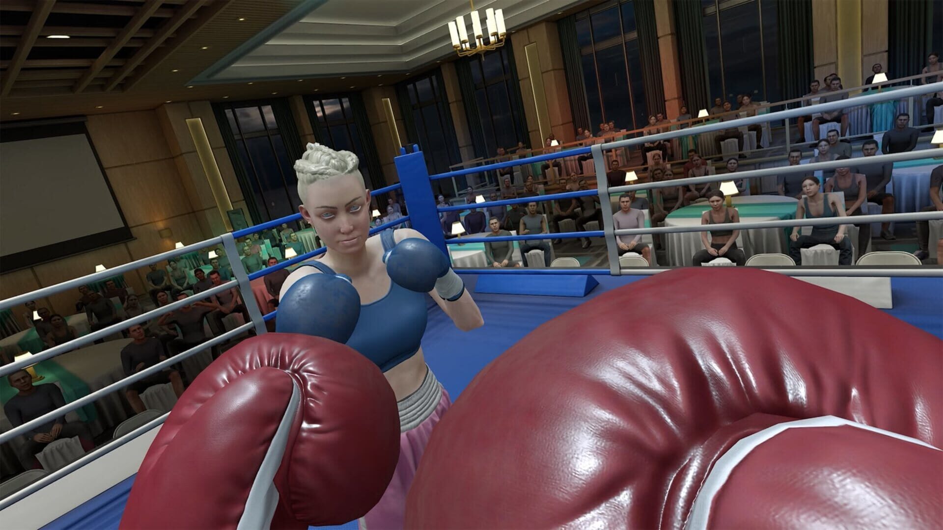 Screenshot for The Thrill of the Fight 2