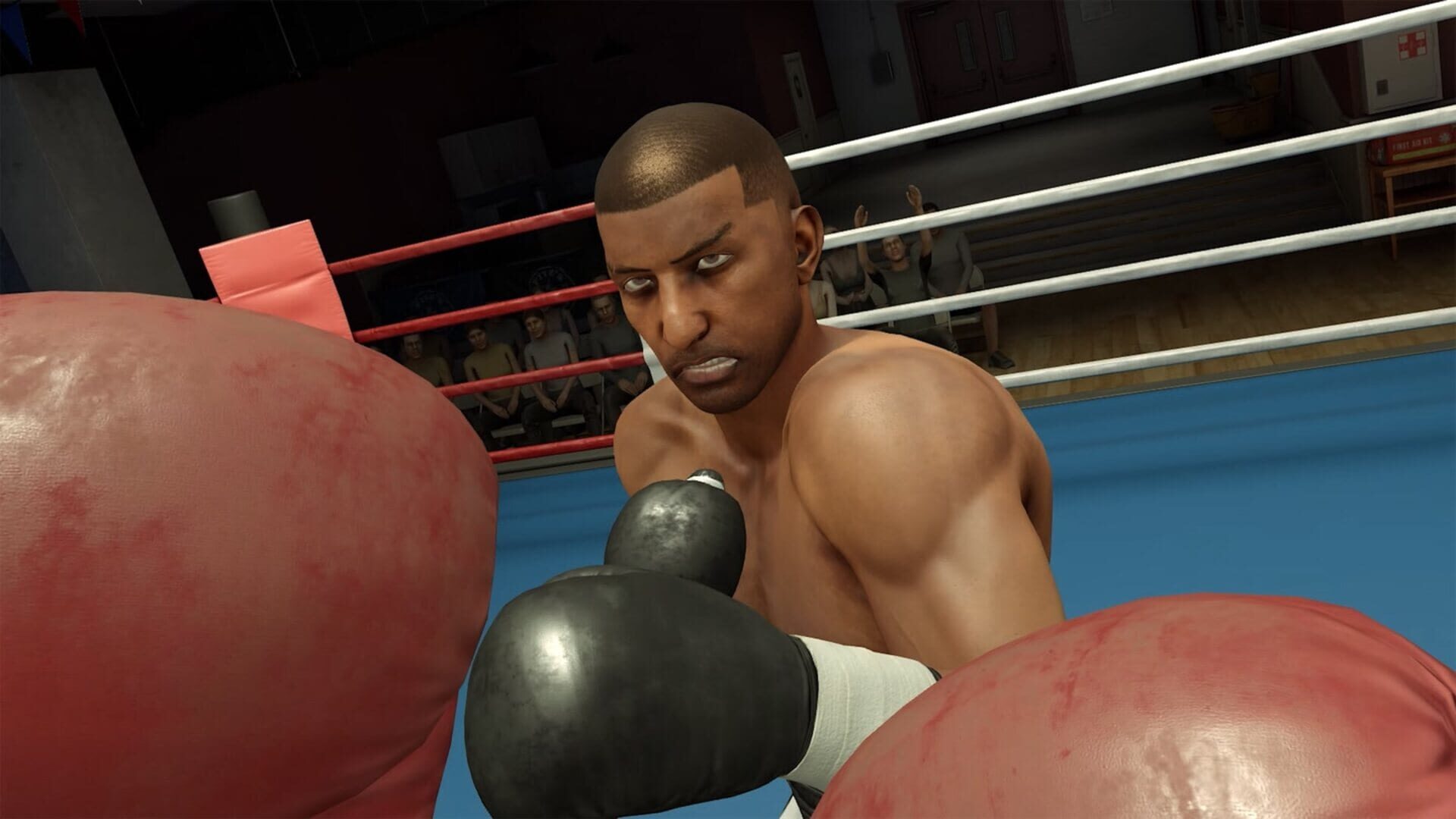Screenshot for The Thrill of the Fight 2