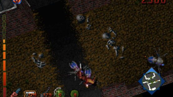 Screenshot for Project Paradise