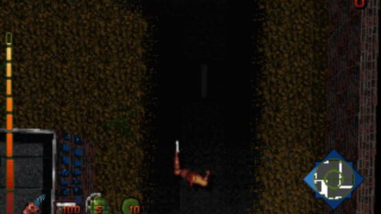 Screenshot for Project Paradise