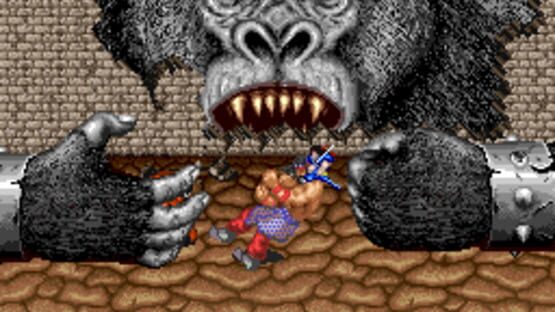 Screenshot for Tecmo Knight