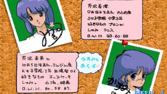 Screenshot for Super Real Mahjong PIII