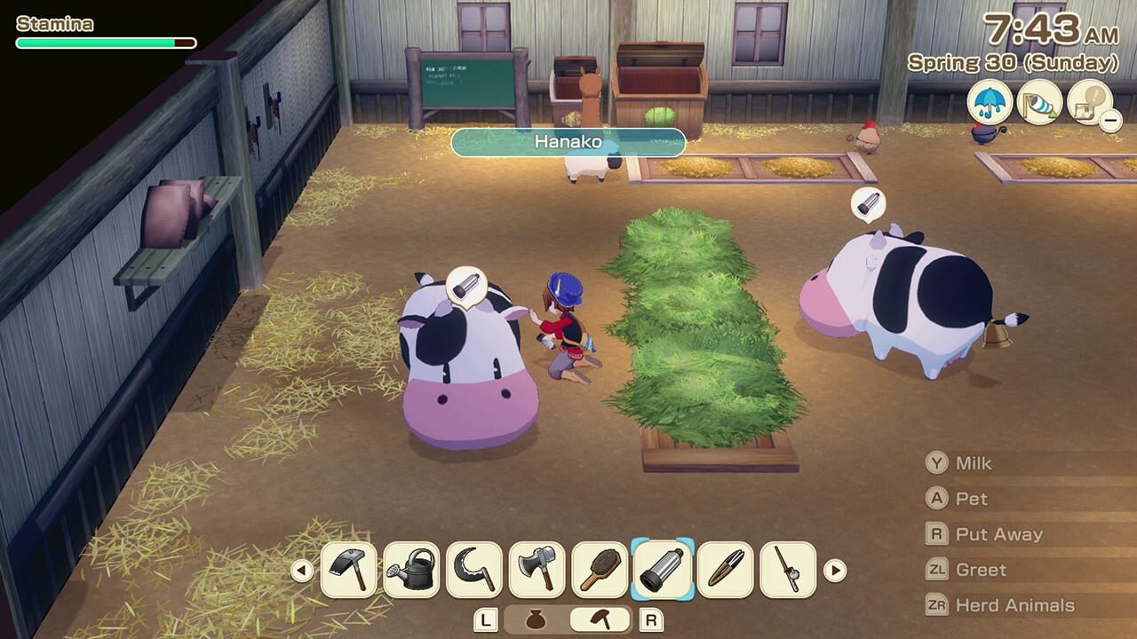 Screenshot for Story of Seasons: Grand Bazaar