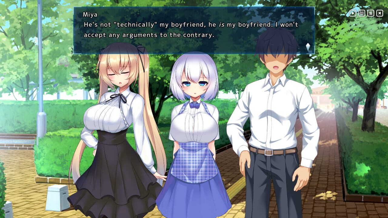 Screenshot for Heavenly Heroes of Antidomi