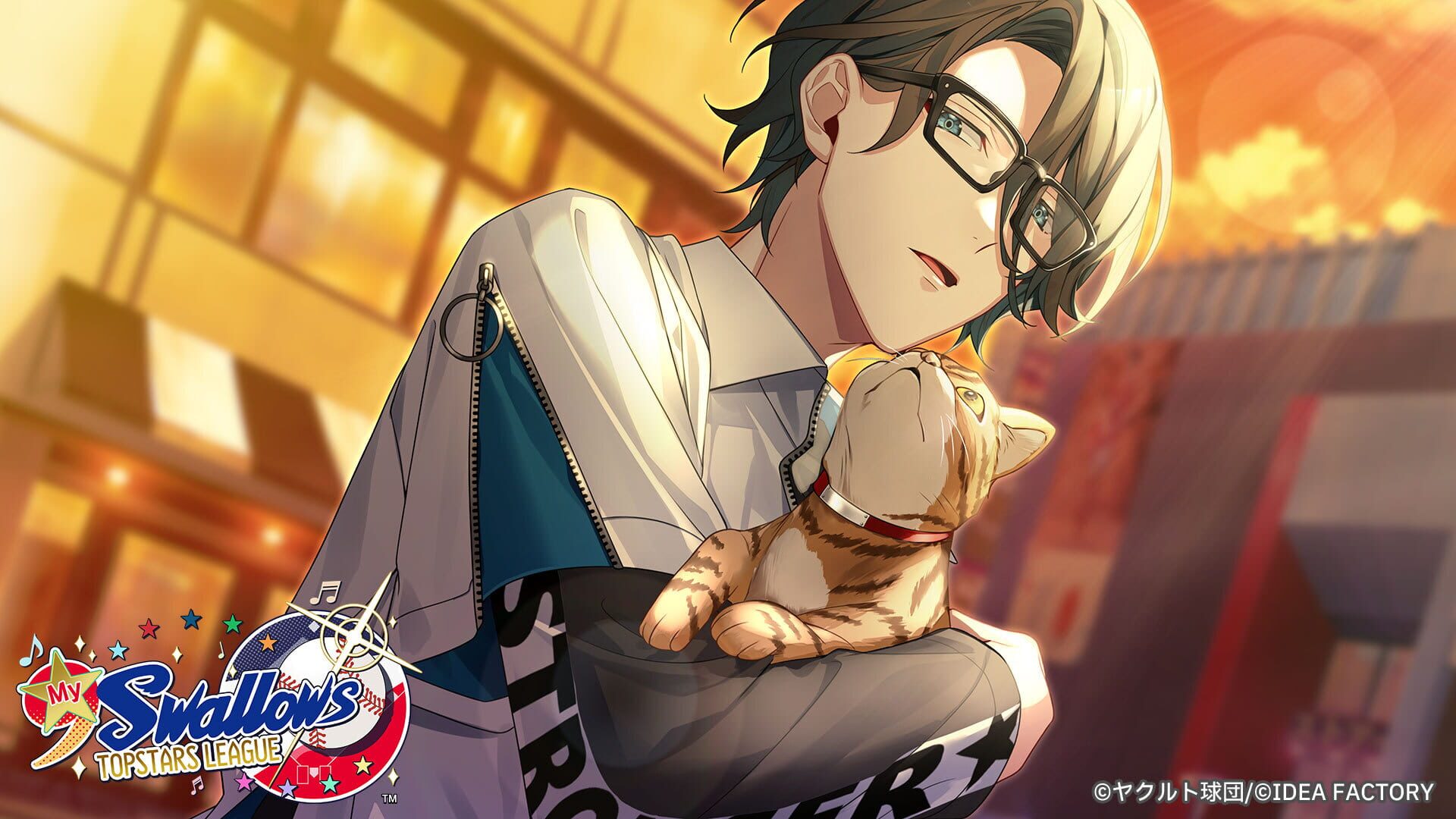 Screenshot for My 9 Swallows: Topstars League