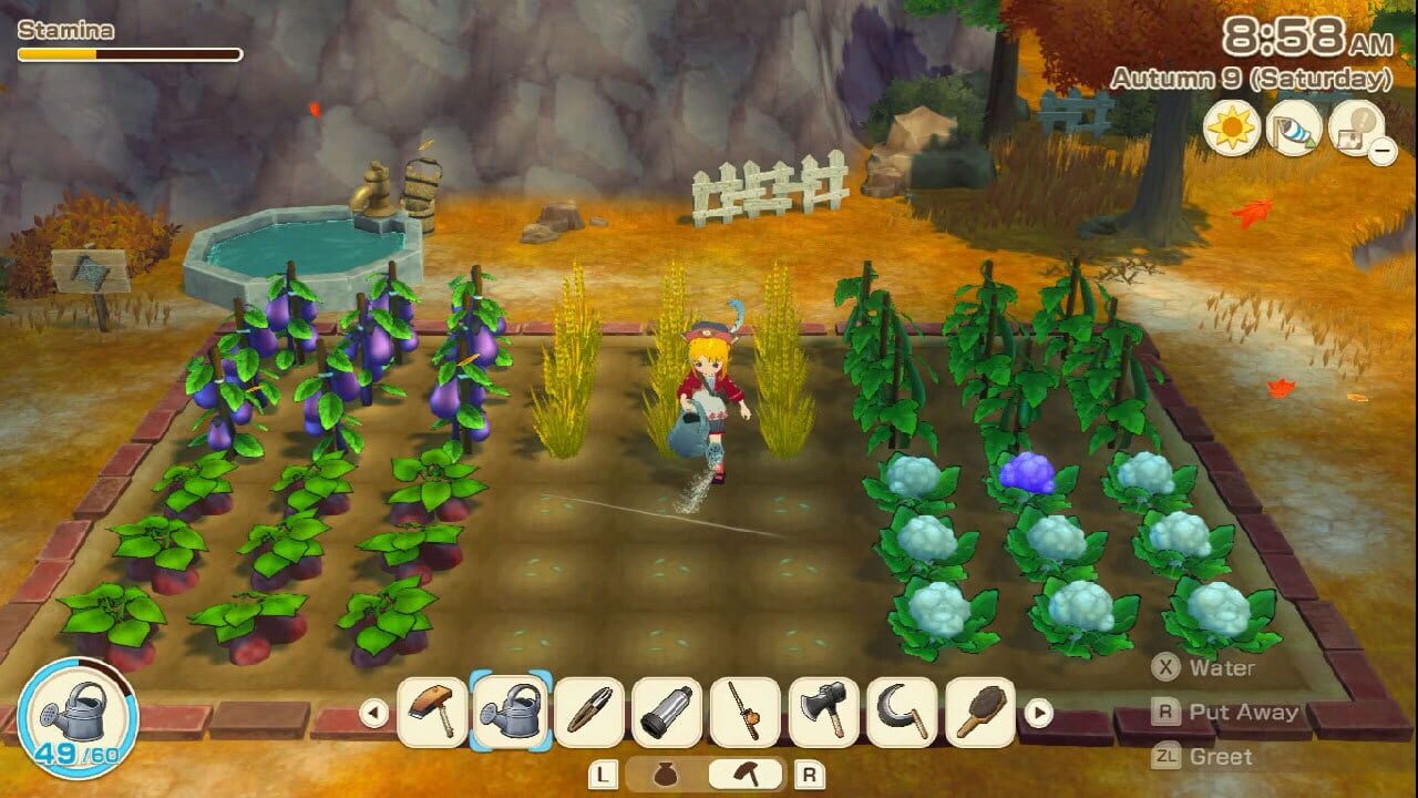 Screenshot for Story of Seasons: Grand Bazaar