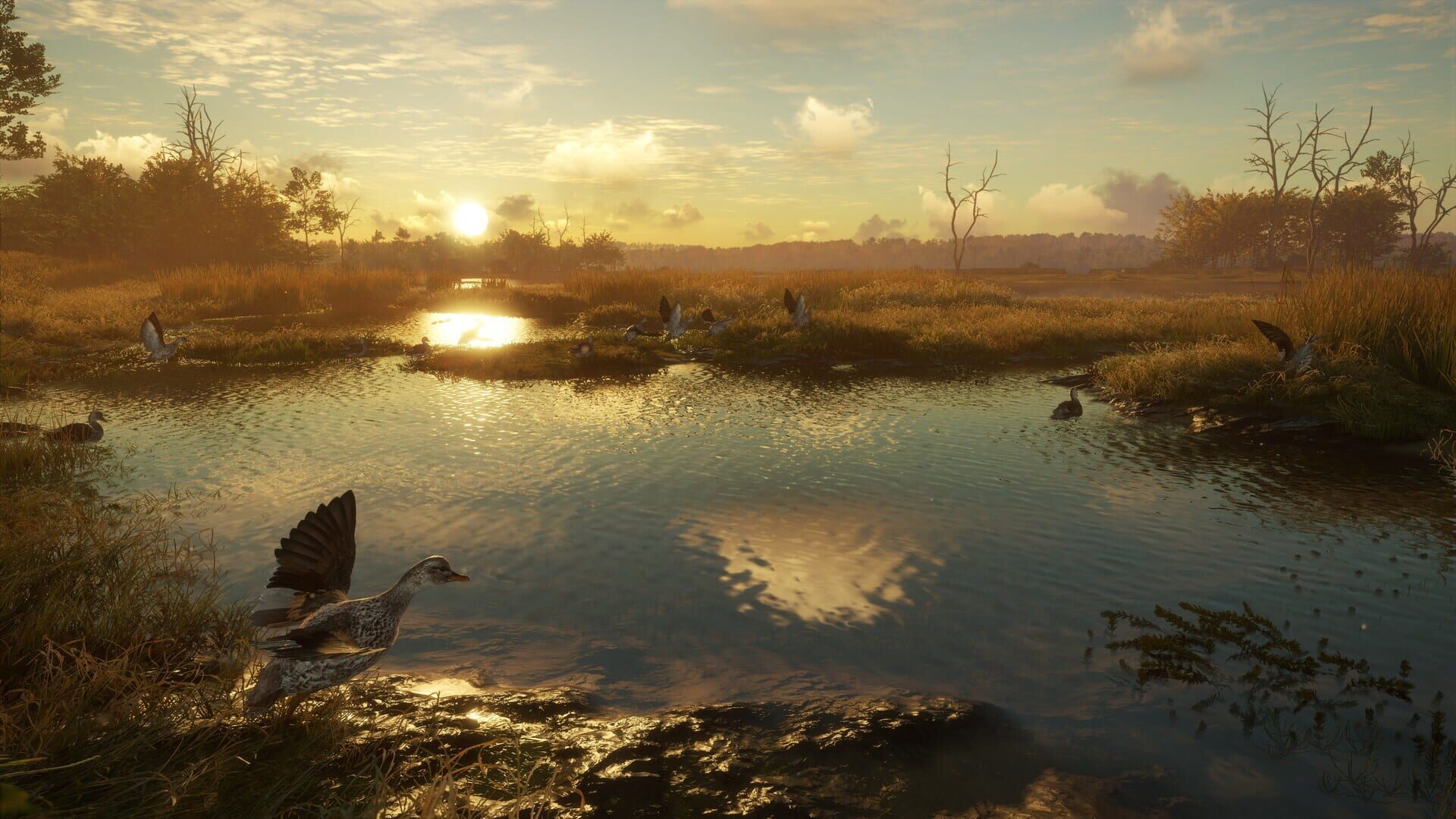 Screenshot for TheHunter: Call of the Wild - Salzwiesen Park