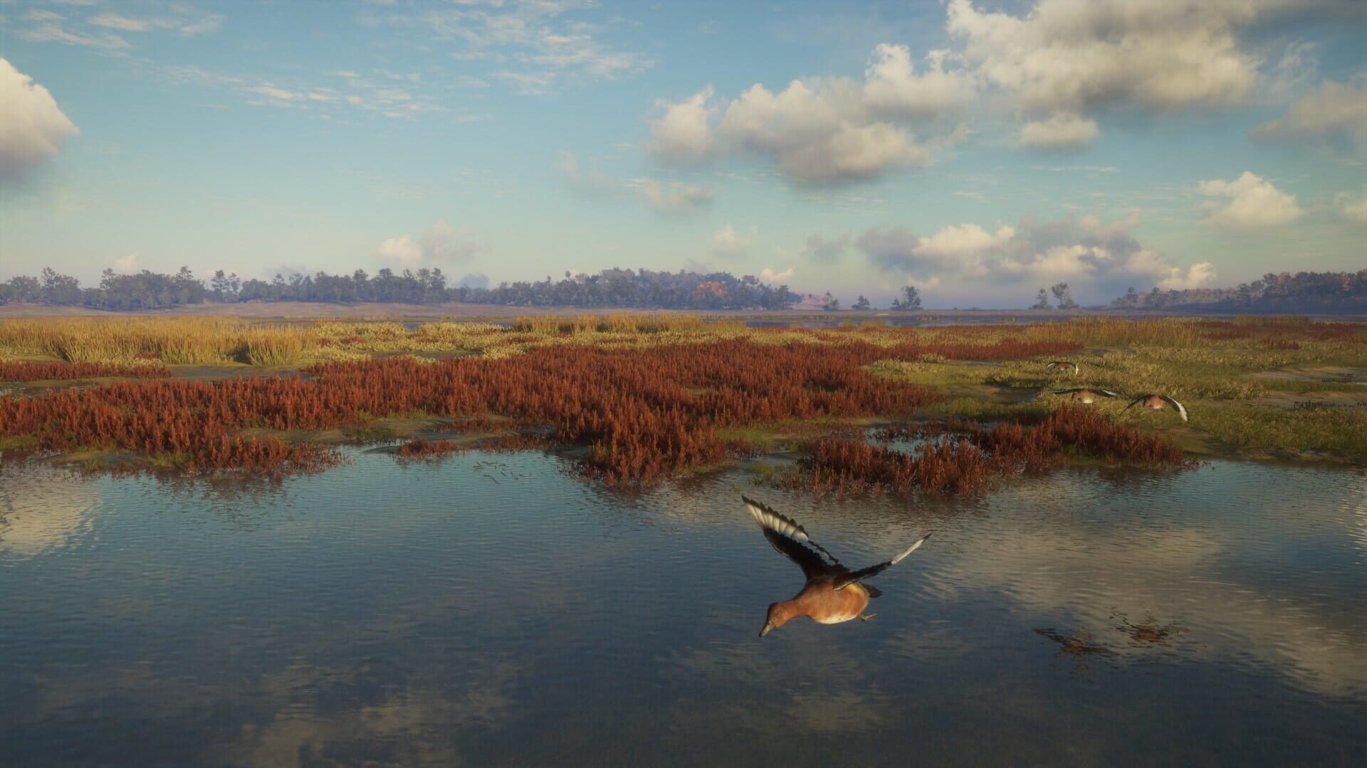 Screenshot for TheHunter: Call of the Wild - Salzwiesen Park